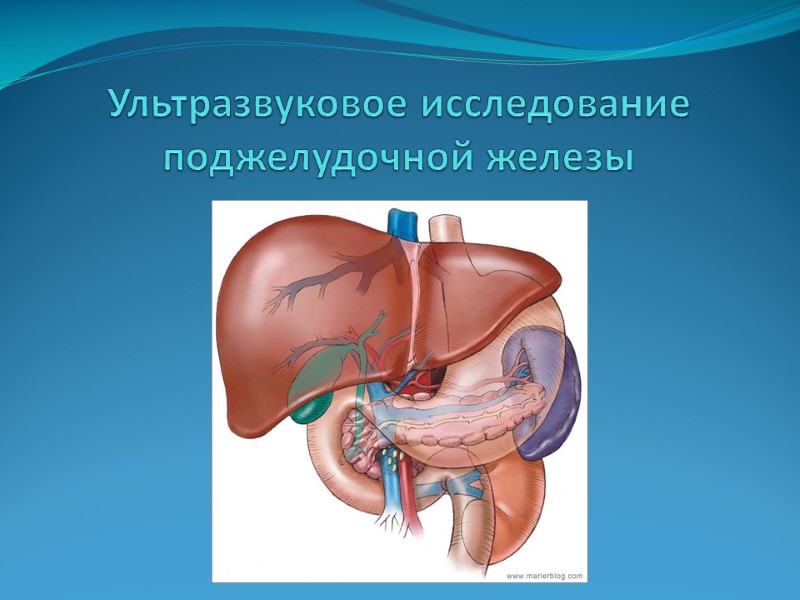 Ультразвуковое исследование поджелудочной железы